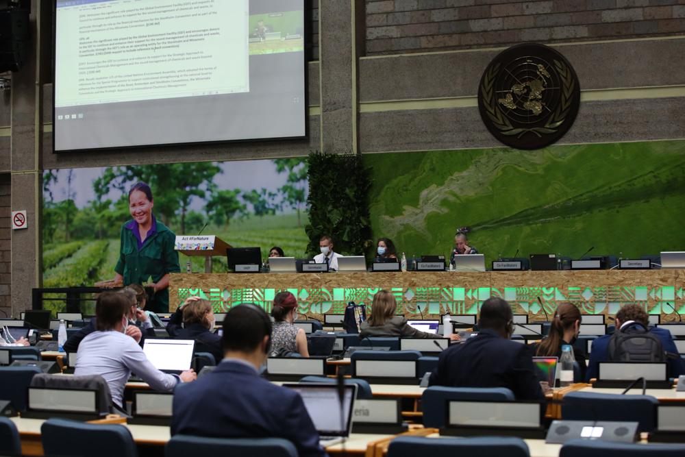 At the United Nations Environment Assembly 5.2 (2022) in Nairobi, Cluster 3 delegates in discussion Photograph: Kiara Worth /IISD/ENB