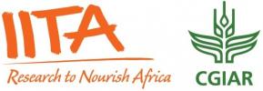 IITA Logo