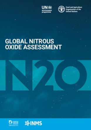 Global Nitrous Oxide Assessment - Report Cover